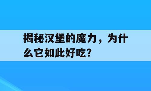 揭秘汉堡的魔力，为什么它如此好吃？