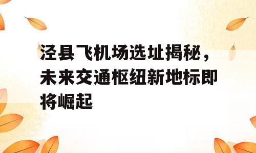 泾县飞机场选址揭秘，未来交通枢纽新地标即将崛起