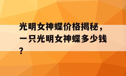 光明女神蝶价格揭秘，一只光明女神蝶多少钱？