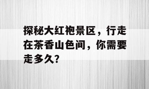 探秘大红袍景区，行走在茶香山色间，你需要走多久？