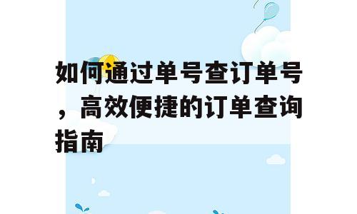 如何通过单号查订单号，高效便捷的订单查询指南