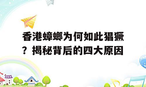 香港蟑螂为何如此猖獗？揭秘背后的四大原因