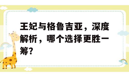 王妃与格鲁吉亚，深度解析，哪个选择更胜一筹？