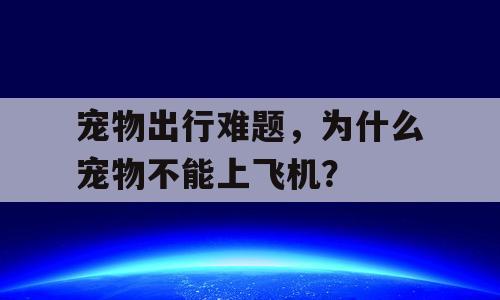 宠物出行难题，为什么宠物不能上飞机？
