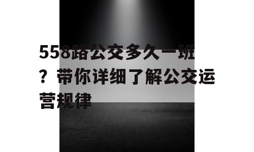 558路公交多久一班？带你详细了解公交运营规律