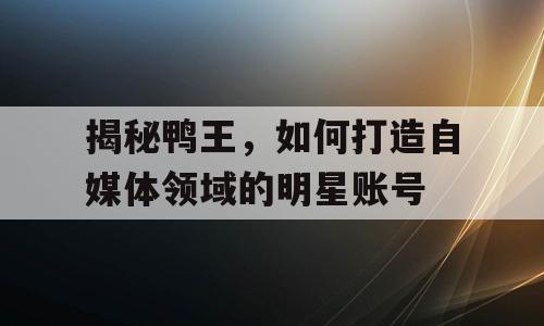 揭秘鸭王，如何打造自媒体领域的明星账号