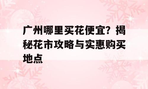 广州哪里买花便宜？揭秘花市攻略与实惠购买地点