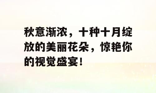 秋意渐浓，十种十月绽放的美丽花朵，惊艳你的视觉盛宴！