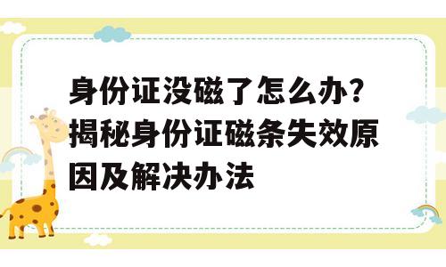 身份证没磁了怎么办？揭秘身份证磁条失效原因及解决办法