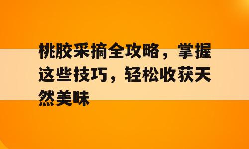 桃胶采摘全攻略，掌握这些技巧，轻松收获天然美味