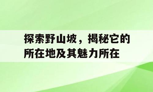 探索野山坡，揭秘它的所在地及其魅力所在