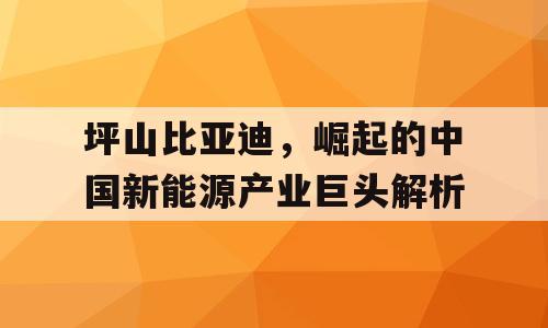 坪山比亚迪，崛起的中国新能源产业巨头解析