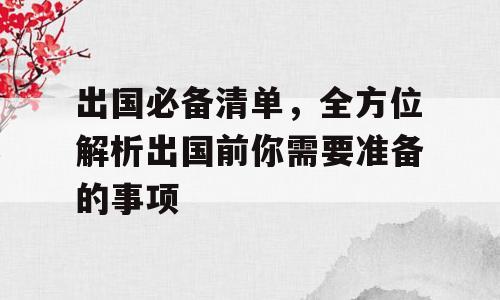 出国必备清单，全方位解析出国前你需要准备的事项
