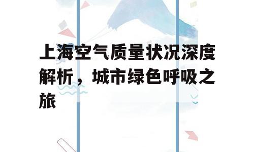 上海空气质量状况深度解析，城市绿色呼吸之旅