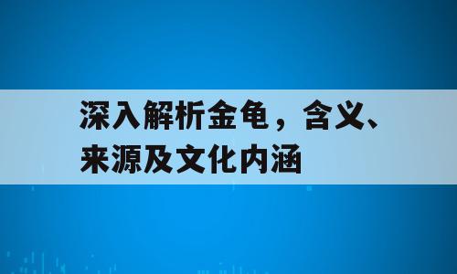 深入解析金龟，含义、来源及文化内涵