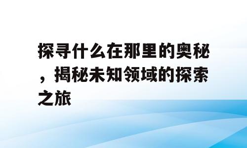 探寻什么在那里的奥秘，揭秘未知领域的探索之旅