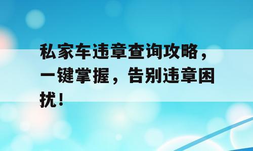 私家车违章查询攻略，一键掌握，告别违章困扰！