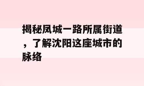 揭秘凤城一路所属街道，了解沈阳这座城市的脉络