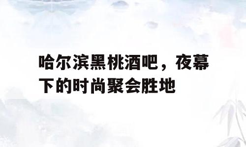 哈尔滨黑桃酒吧，夜幕下的时尚聚会胜地