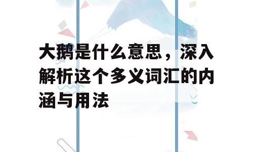 大鹅是什么意思，深入解析这个多义词汇的内涵与用法