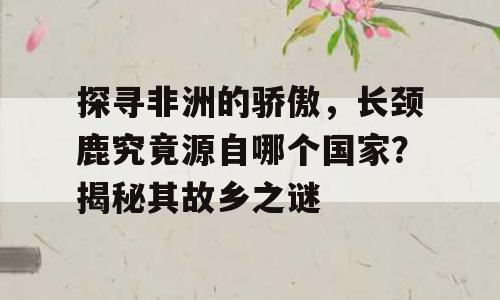 探寻非洲的骄傲，长颈鹿究竟源自哪个国家？揭秘其故乡之谜