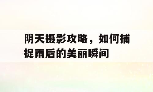 阴天摄影攻略，如何捕捉雨后的美丽瞬间