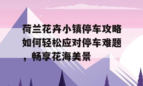 荷兰花卉小镇停车攻略如何轻松应对停车难题，畅享花海美景