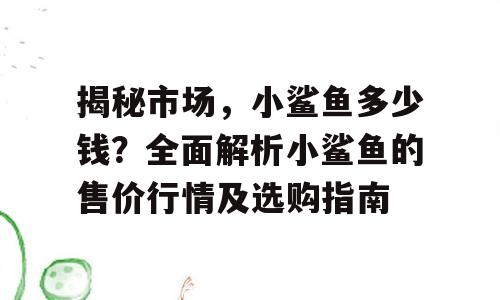 揭秘市场，小鲨鱼多少钱？全面解析小鲨鱼的售价行情及选购指南