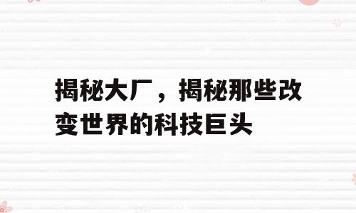 揭秘大厂，揭秘那些改变世界的科技巨头