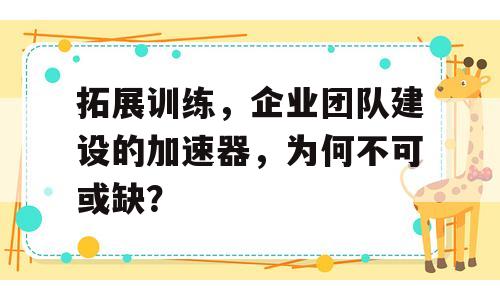 拓展训练，企业团队建设的加速器，为何不可或缺？
