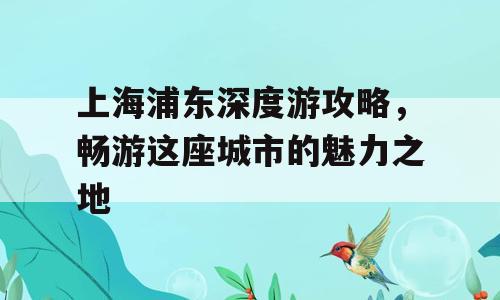 上海浦东深度游攻略，畅游这座城市的魅力之地
