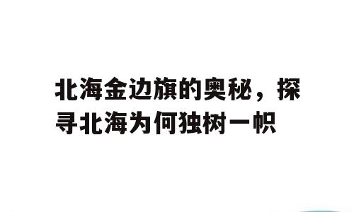 北海金边旗的奥秘，探寻北海为何独树一帜
