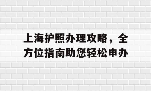 上海护照办理攻略，全方位指南助您轻松申办