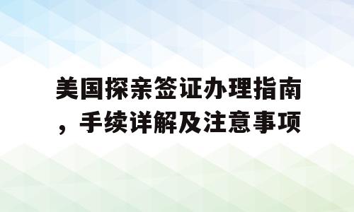 美国探亲签证办理指南，手续详解及注意事项