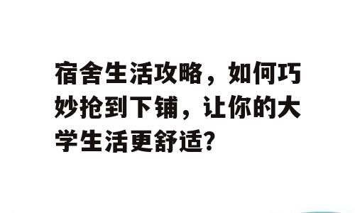 宿舍生活攻略，如何巧妙抢到下铺，让你的大学生活更舒适？