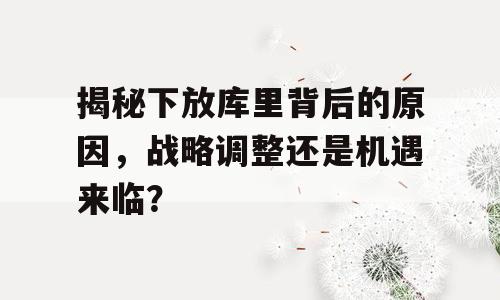 揭秘下放库里背后的原因，战略调整还是机遇来临？