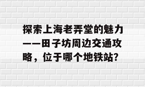 探索上海老弄堂的魅力——田子坊周边交通攻略，位于哪个地铁站？