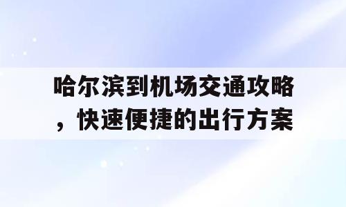 哈尔滨到机场交通攻略，快速便捷的出行方案