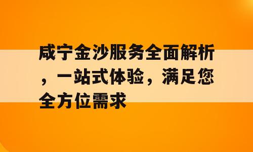 咸宁金沙服务全面解析，一站式体验，满足您全方位需求