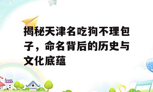 揭秘天津名吃狗不理包子，命名背后的历史与文化底蕴