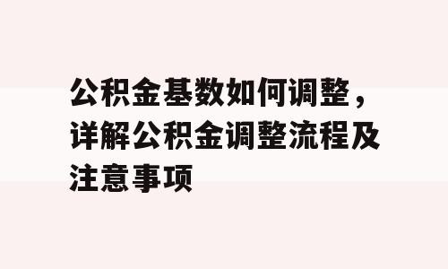 公积金基数如何调整，详解公积金调整流程及注意事项