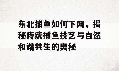 东北捕鱼如何下网，揭秘传统捕鱼技艺与自然和谐共生的奥秘
