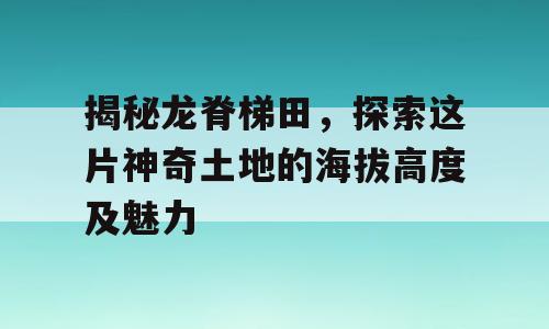揭秘龙脊梯田，探索这片神奇土地的海拔高度及魅力