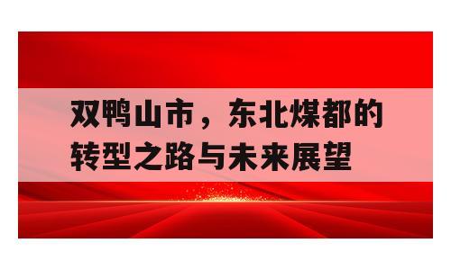 双鸭山市，东北煤都的转型之路与未来展望