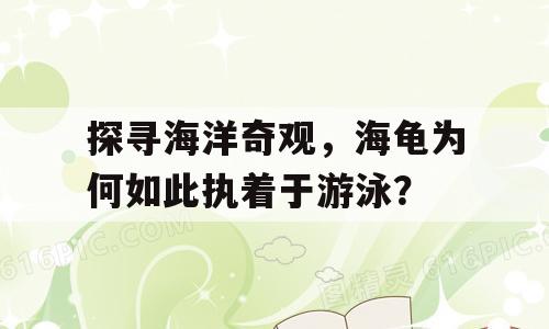 探寻海洋奇观，海龟为何如此执着于游泳？