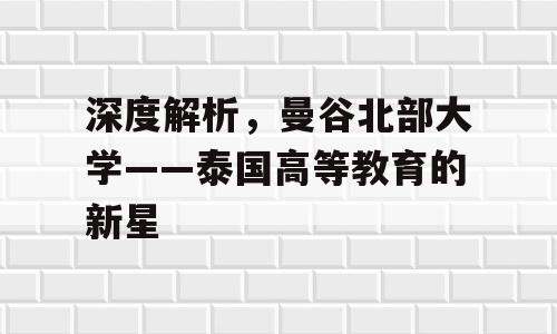 深度解析，曼谷北部大学——泰国高等教育的新星