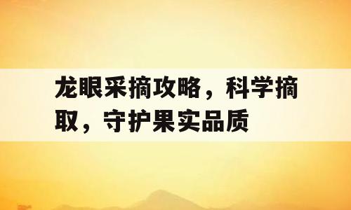 龙眼采摘攻略，科学摘取，守护果实品质