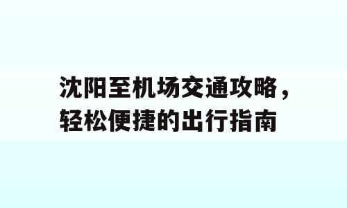 沈阳至机场交通攻略，轻松便捷的出行指南
