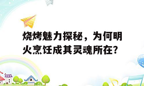 烧烤魅力探秘，为何明火烹饪成其灵魂所在？