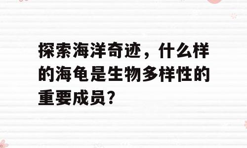 探索海洋奇迹，什么样的海龟是生物多样性的重要成员？